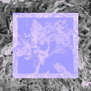 Image Version Remixes