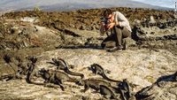 Galapagos: A Fight for Survival