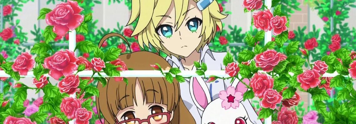 Cover JewelPet