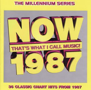 Now That’s What I Call Music! 1987: The Millennium Series