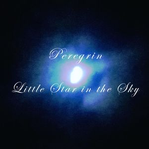 Little Star in the Sky