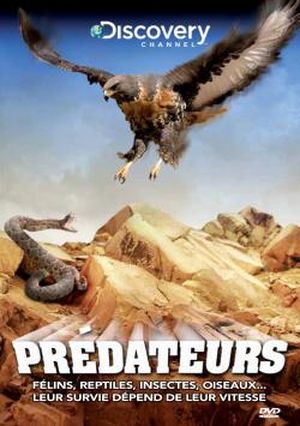 Prédateurs