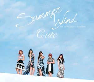 何故 人は争うんだろう？／Summer Wind／人生はSTEP! (Single)