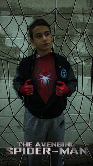 The Avenging Spider-Man