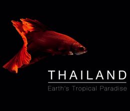 image-https://media.senscritique.com/media/000016679396/0/Thailand_Earth_s_Tropical_Paradise.jpg