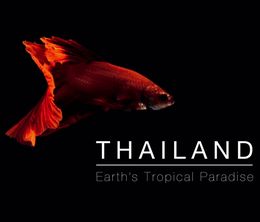 image-https://media.senscritique.com/media/000016679396/0/thailand_earth_s_tropical_paradise.jpg