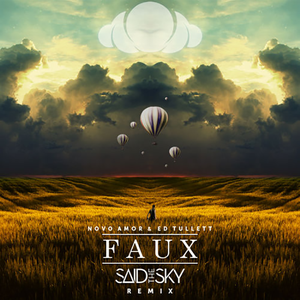 Faux (Said The Sky Remix)