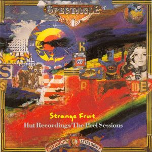 Strange Fruit: Hut Recordings/The Peel Sessions