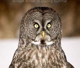 image-https://media.senscritique.com/media/000016685700/0/Yellowstone_Wildest_Winter_to_Blazing_Summer.jpg