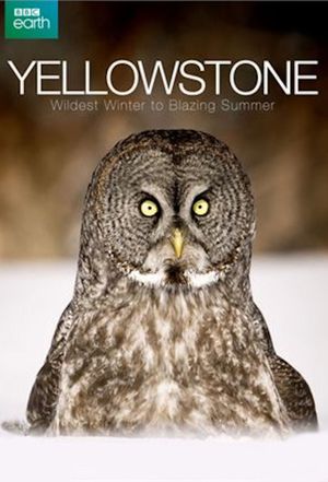 Yellowstone: Wildest Winter to Blazing Summer