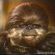 Avatar Mathmath1234 Avatar Mathmath1234