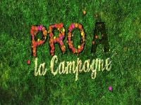 PRO A - La Campagne