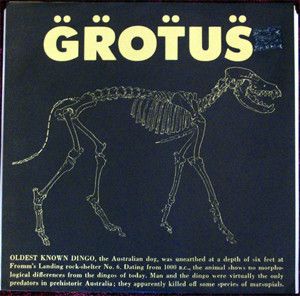 Grotus (Single)