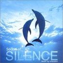 Pochette Sound of Silence