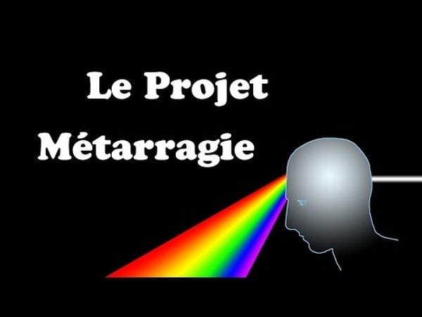 Métarragie