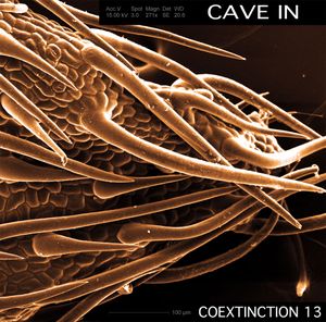 Coextinction Release 13 (Live)
