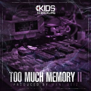 Too Much Memory II