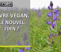 image-https://media.senscritique.com/media/000016709497/0/vivre_vegan_le_nouvel_eden.jpg