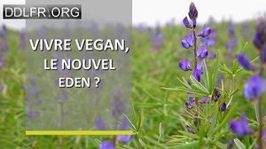 Vivre Vegan - le nouvel Eden