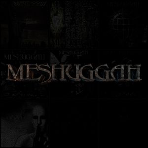 Meshuggah: Best-Of