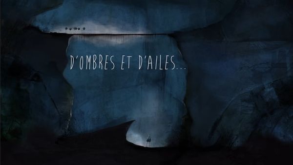 D'ombres et d'ailes...