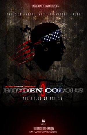 Hidden Colors 3