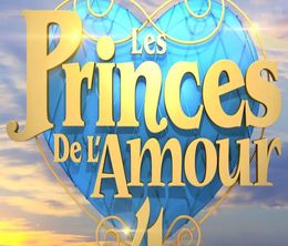 image-https://media.senscritique.com/media/000016719940/0/les_princes_de_l_amour.jpg