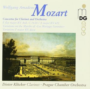 Concerto for Clarinet and Orchestra in E-flat major, KV C. 14.04: Allegro moderato