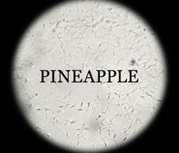 image-https://media.senscritique.com/media/000016724279/0/pineapple.jpg