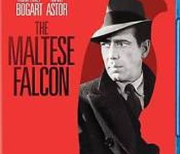 image-https://media.senscritique.com/media/000016730325/0/the_maltese_falcon_one_magnificent_bird.jpg
