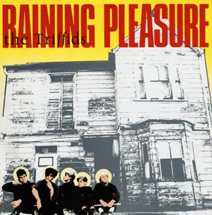 Raining Pleasure