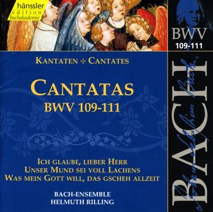 Cantata, BWV 110 "Unser Mund sei voll Lachens": II. Aria