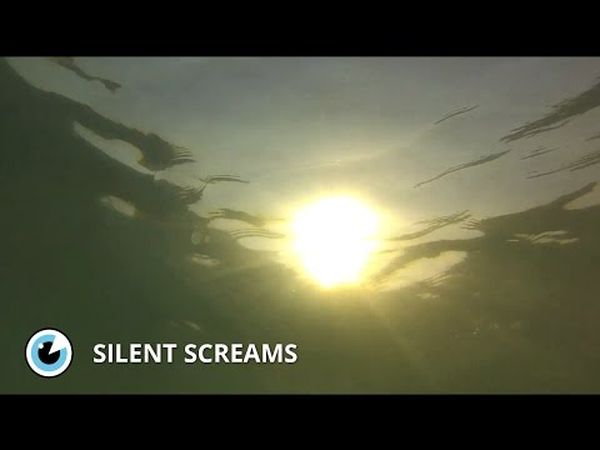 Silent Screams