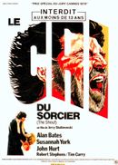 Affiche Le Cri du sorcier
