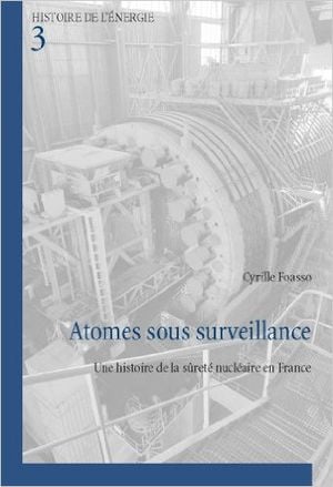 Atomes Sous Surveillance: Une Histoire De La Sûreté Nucléaire En France