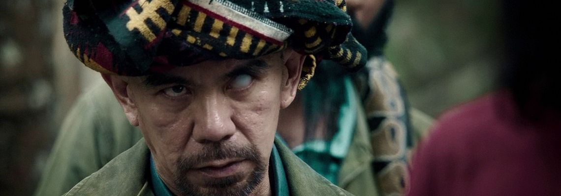 Cover Operation Mekong