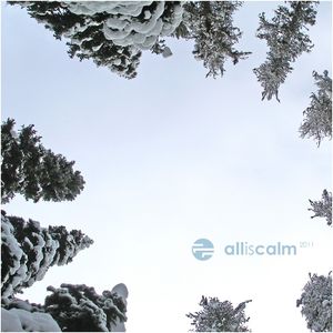 all|is|calm 2011