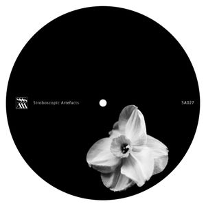 Ardent / Swallows (EP)