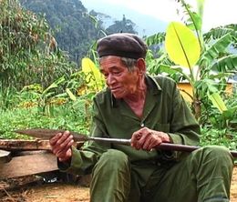 image-https://media.senscritique.com/media/000016756055/0/so_close_so_far_the_ancestral_forests.jpg