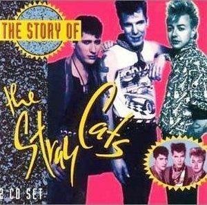 The Story of the Stray Cats