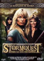 Affiche Stormquest Affiche Stormquest