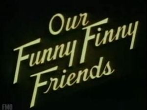 Our Funny Finny Friends
