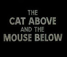 image-https://media.senscritique.com/media/000016771231/0/the_cat_above_and_the_mouse_below.jpg