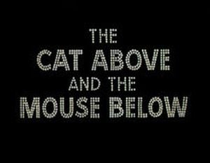The Cat Above and the Mouse Below