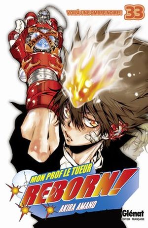 Reborn tome 33