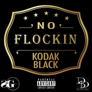No Flockin’ (Single)