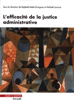 L'efficacité de la justice administrative