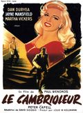Affiche Le Cambrioleur Affiche Le Cambrioleur