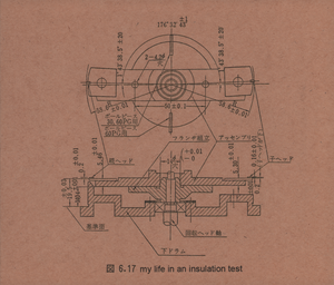 My Life in an Insulation Test