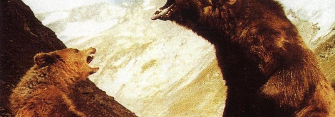 Cover L'Ours
